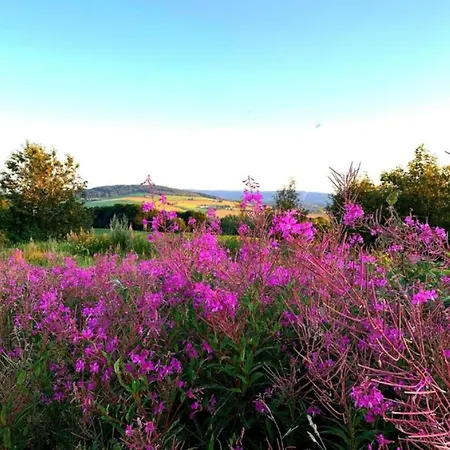 Scenic In Rauschenbach, Cleaning Included Apartment *