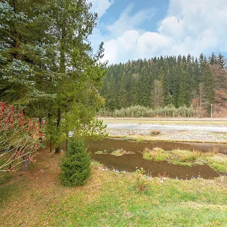 Scenic In Rauschenbach, Cleaning Included *